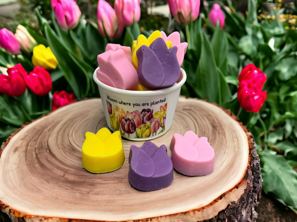 
                  
                    TULIPS SPRING FLOWERS wax melts | 7 melts | 4.5 oz
                  
                