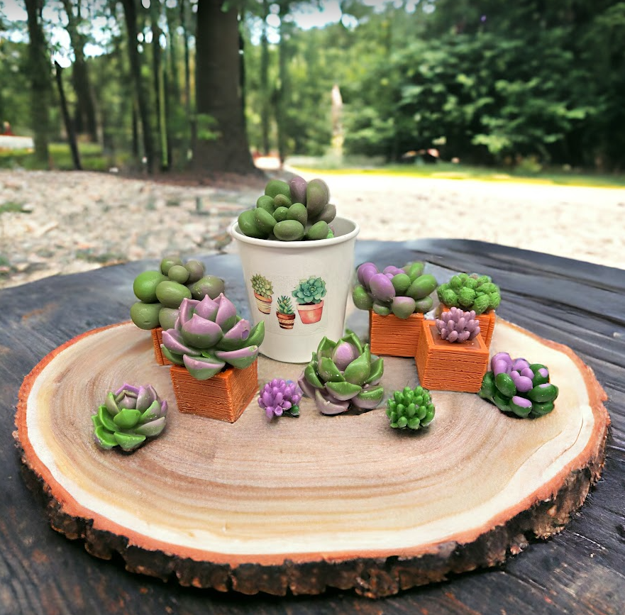 succulent wax melts SUCCULENTS & PLANTERS Wax Melts | Baja Cactus Blossom