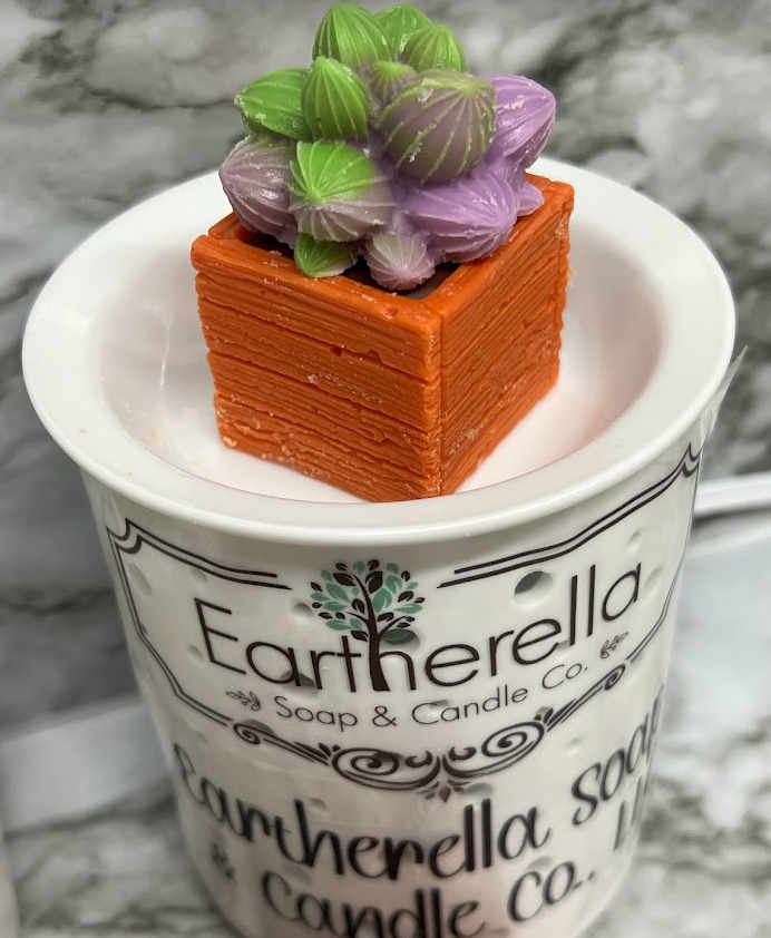 succulent wax SUCCULENTS & PLANTERS Wax Melts | Baja Cactus Blossom