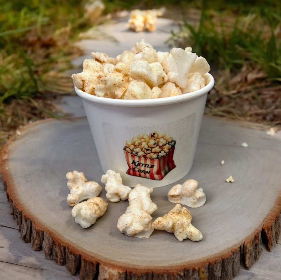 KETTLE CORN POPCORN wax melts | 4 oz