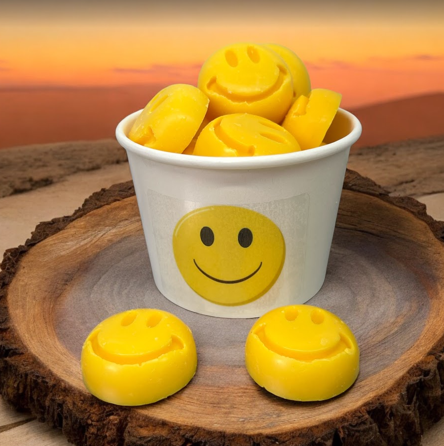 SMILEY FACE wax melts | Hawaiian Sun scent | 5.25 oz