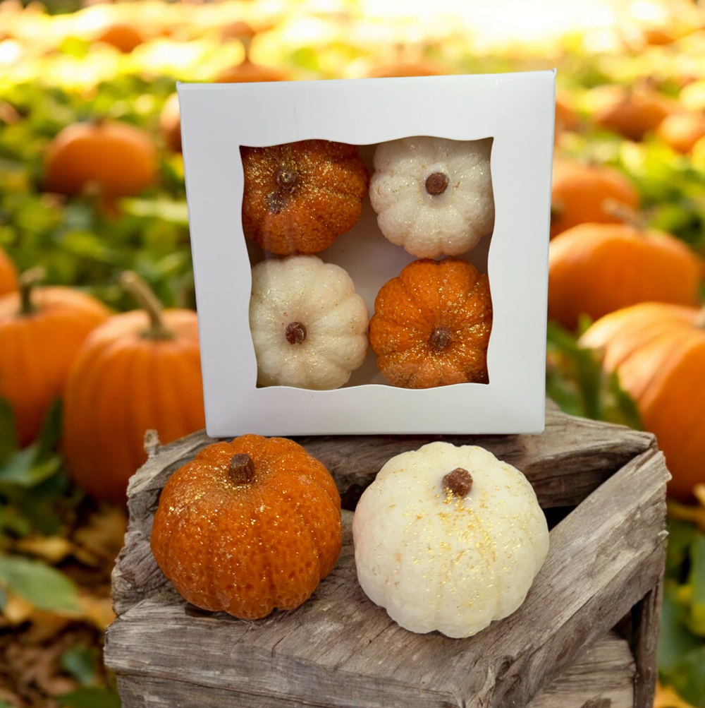 MINI PUMPKINS wax melts 4pk | WHITE PUMPKIN | PUMPKIN APPLE | 8.25 oz