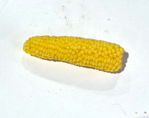 
                  
                    CORN Wax Melts | Corn on the cob | Candy Corn scent | 1 oz SAMPLE
                  
                