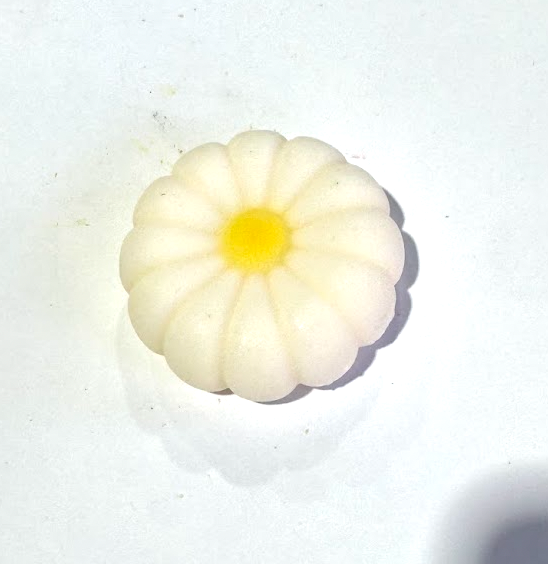 
                  
                    DAISY FLOWERS Spring Floral Wax Melts | 2 oz SAMPLE
                  
                