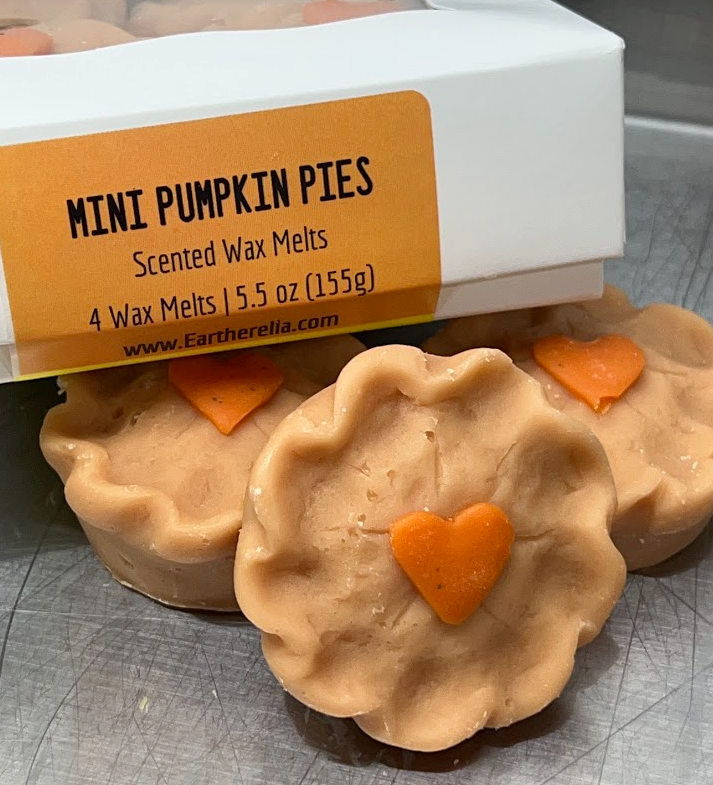 
                  
                    PUMPKIN PIE Tarts Wax Melts | Pumpkin Pie Spice | Fake Food | 5.5 oz | 4 Melts
                  
                
