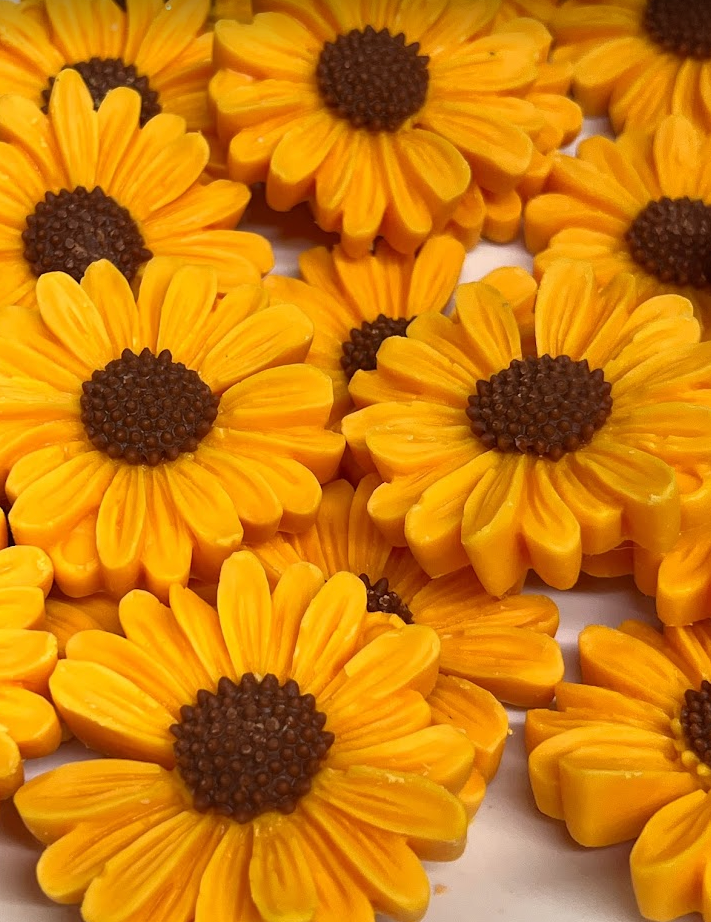 
                  
                    SUNFLOWERS Realistic Floral Flower Wax Melts |  8 Melts | 5 oz
                  
                